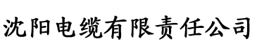 国产一区欧美亚洲二区三区电缆厂logo